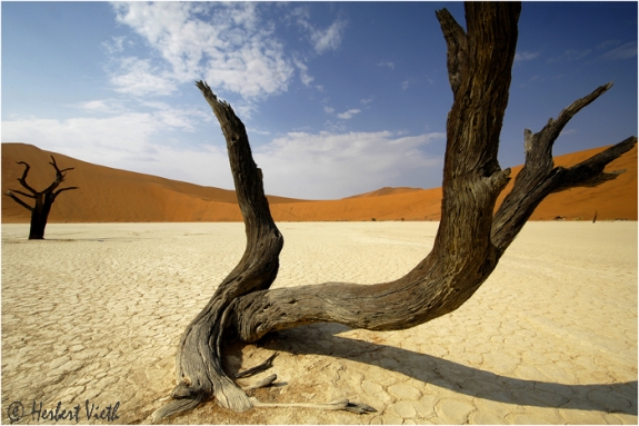 Namibia Desert 02