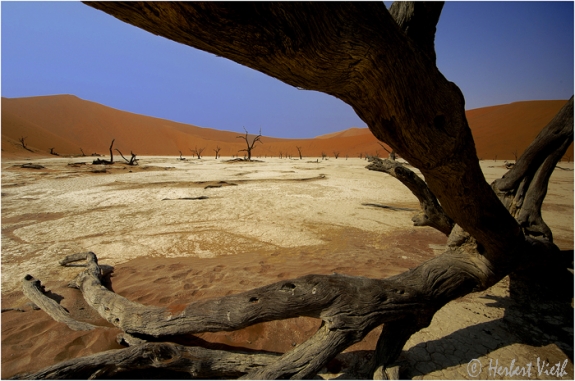 Namibia Desert 03