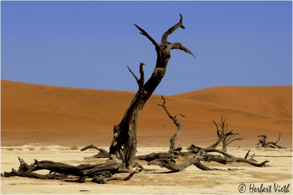 Namibia Desert 04