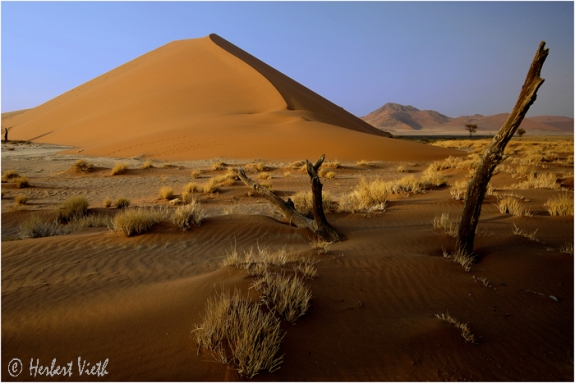 Namibia Desert 05