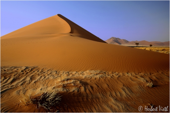 Namibia Desert 06