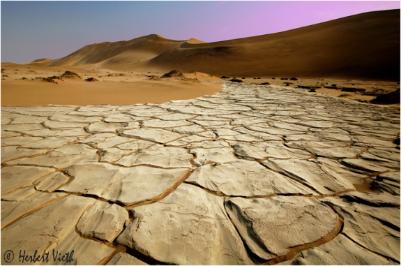 Namibia Desert 08